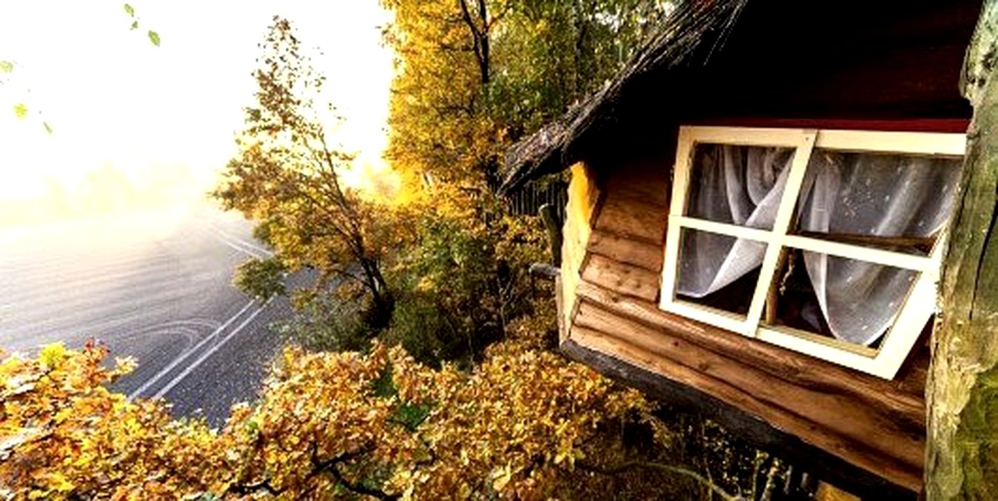 Tree Houses (Neißeaue, Saxony, Germany)