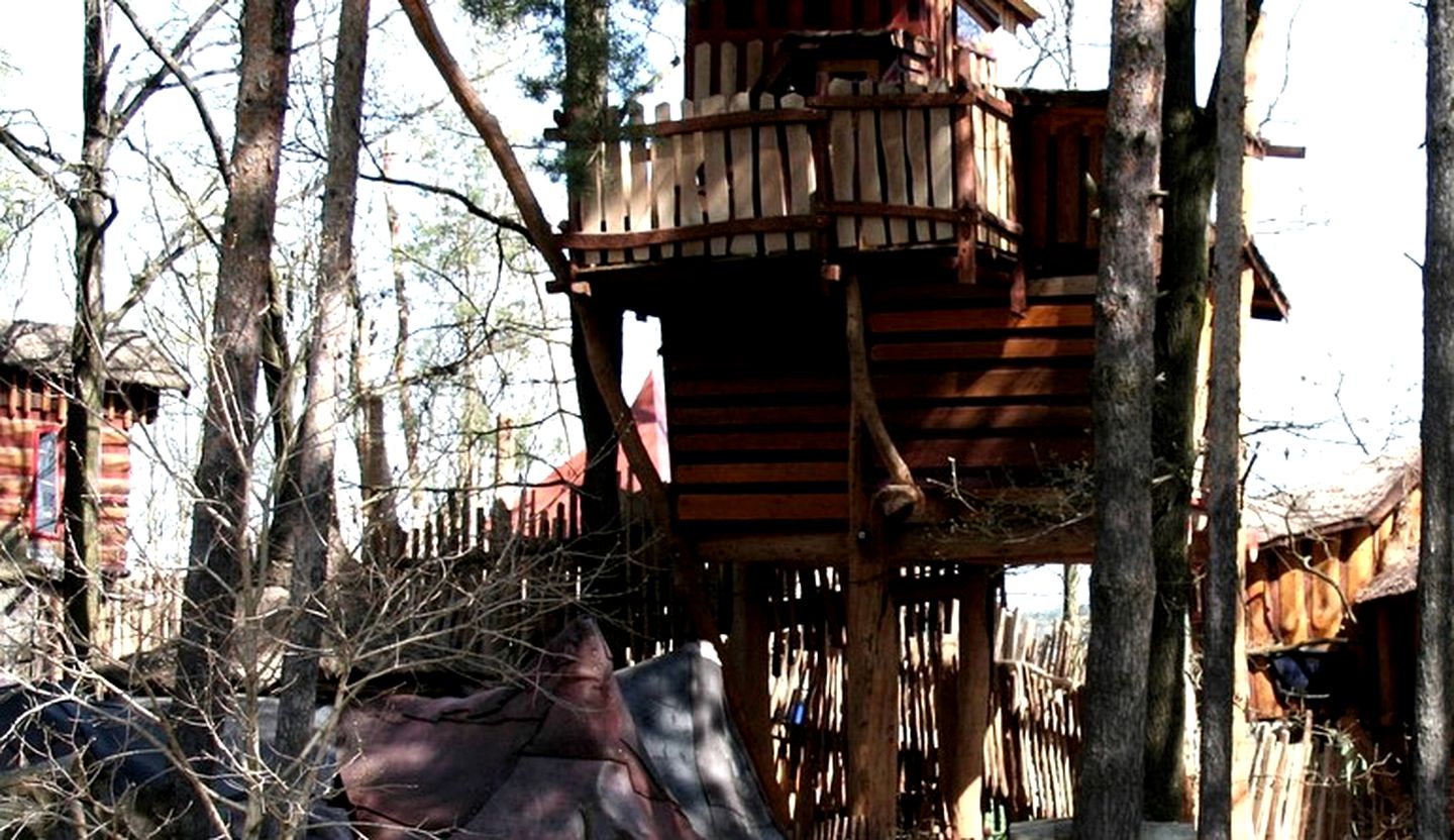 Family-Friendly and Unique Tree House Above Lake in Germany