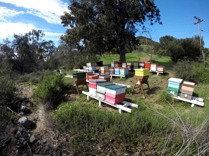 Morning Song Farm 2, Vacation Rentals, Rainbow, United States of