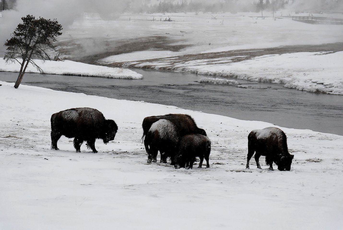 Family-Friendly Cabin Rental with Lone Peak Views in Big Sky