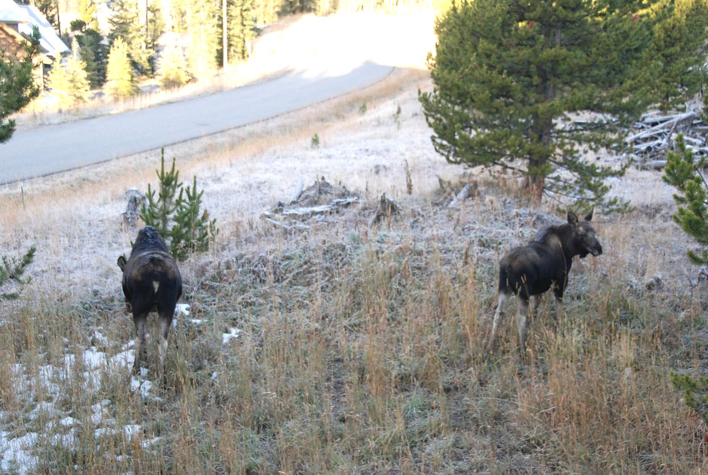 Family-Friendly Cabin Rental with Lone Peak Views in Big Sky
