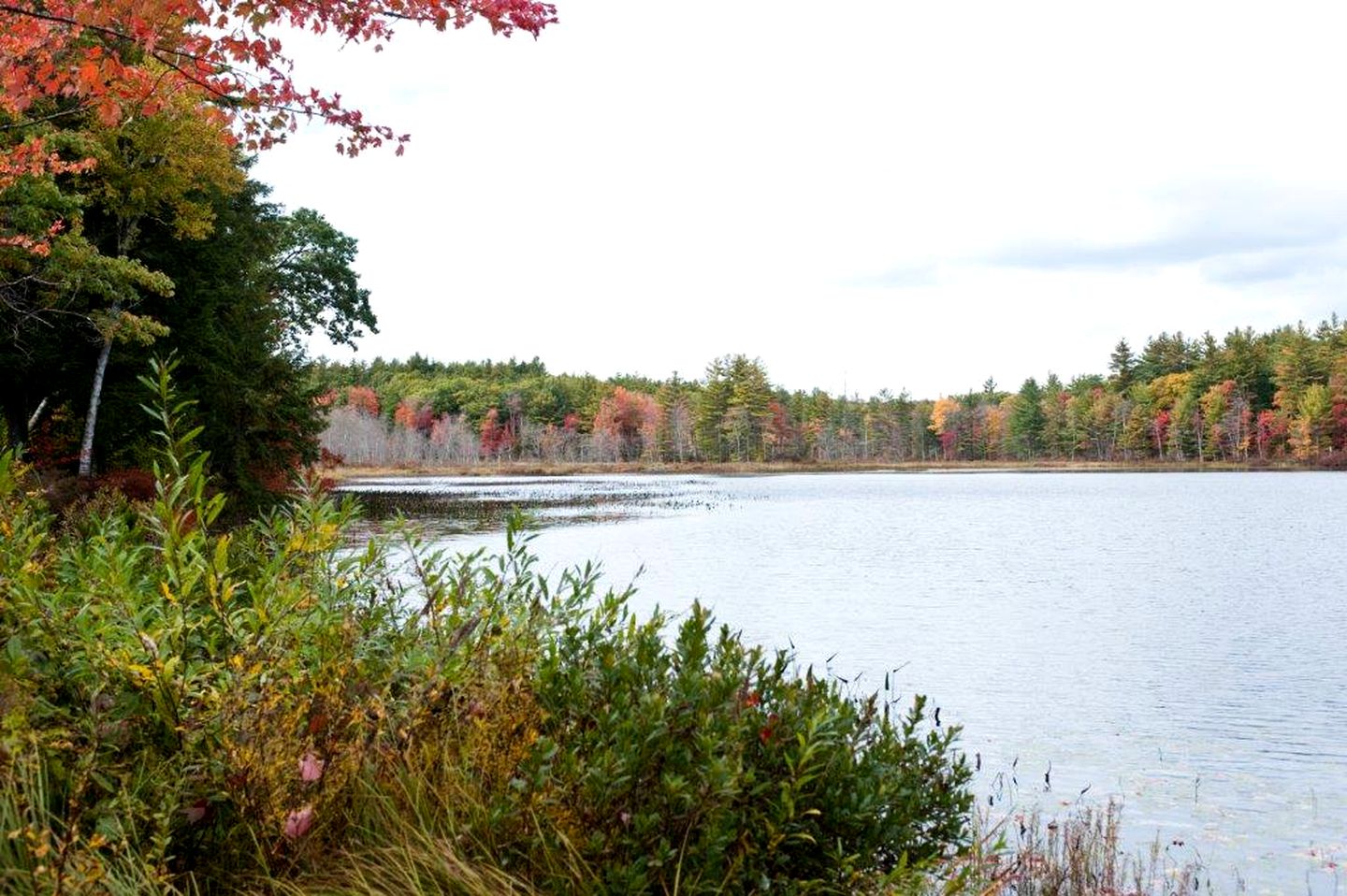 Family-Friendly Cabin Rental with Spacious Deck in Pittsfield, New Hampshire