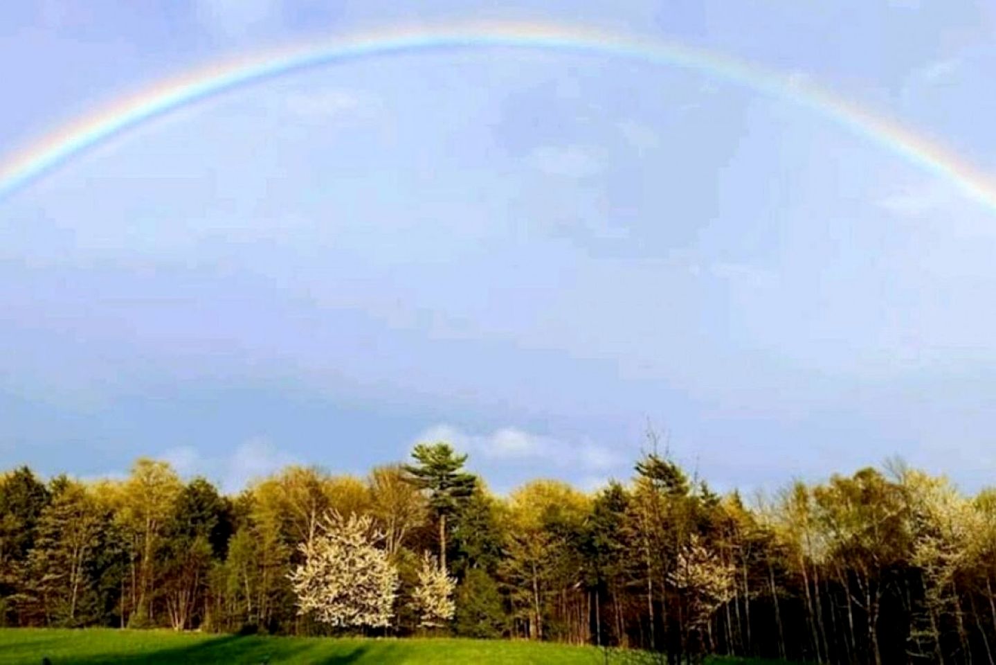 Spacious Lakeside Cottage with Games Room and Firepit, Walking Distance to Beach and Marina, Lion's Head, Ontario