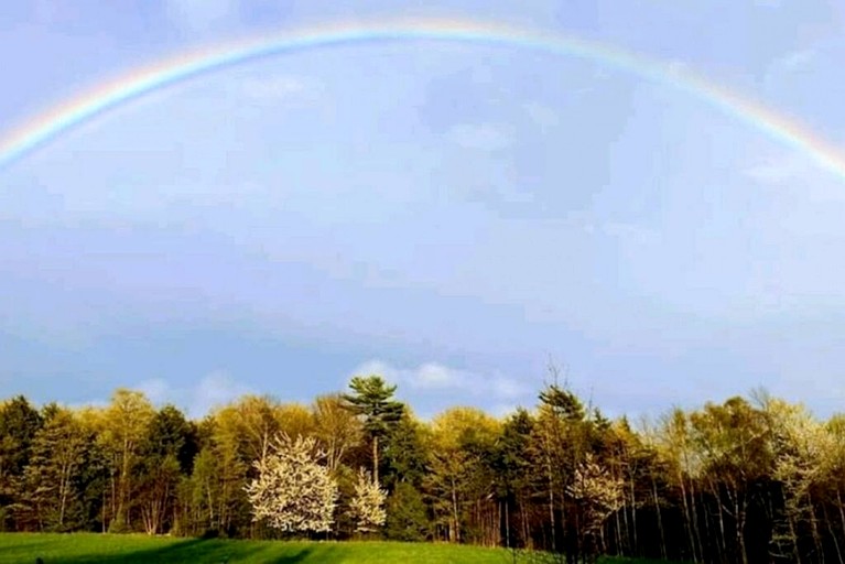 Cottages (Canada, Lions Head, Ontario)