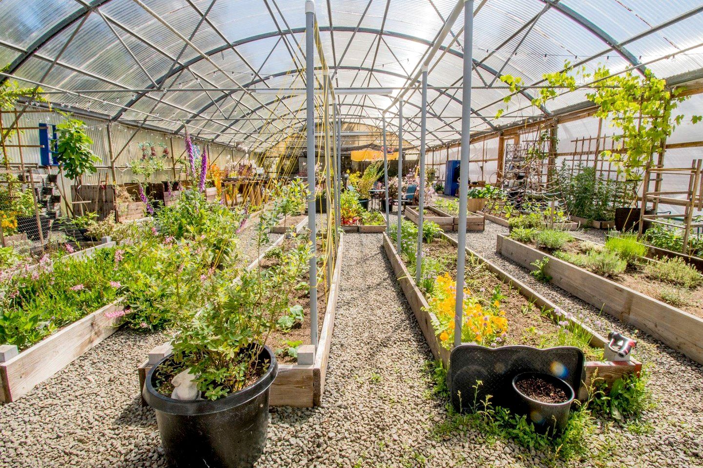 Family-Friendly Tiny House Getaway near Waldport, Oregon