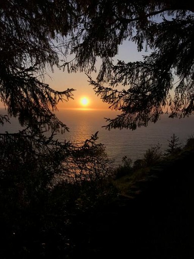 Tiny Houses (United States of America, Waldport, Oregon)
