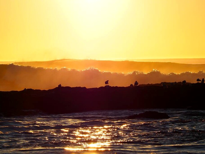 Tiny Houses (United States of America, Waldport, Oregon)