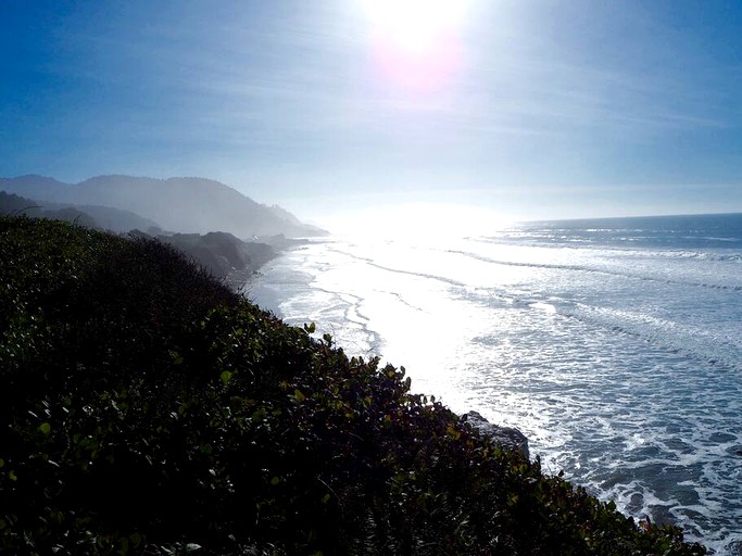 Tiny Houses (United States of America, Waldport, Oregon)