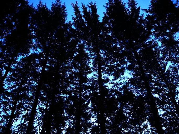 Tiny Houses (United States of America, Waldport, Oregon)