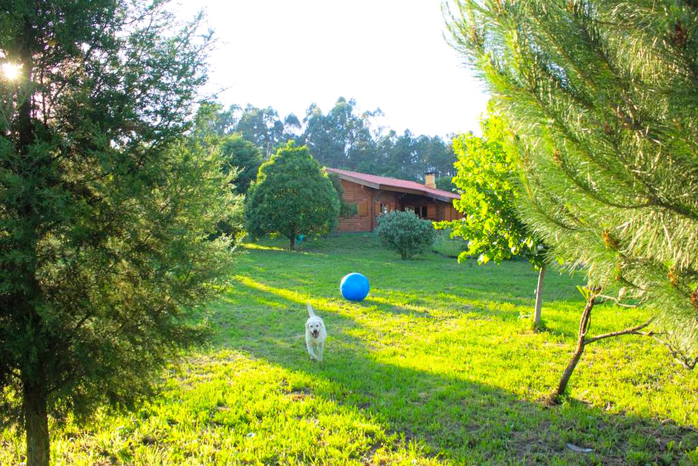 Family-Friendly Cabin Rental with a Pool near Porto, Portugal