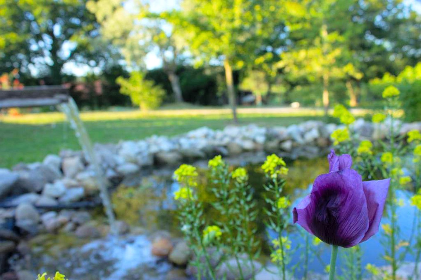 Family-Friendly Cabin Rental with a Pool near Porto, Portugal