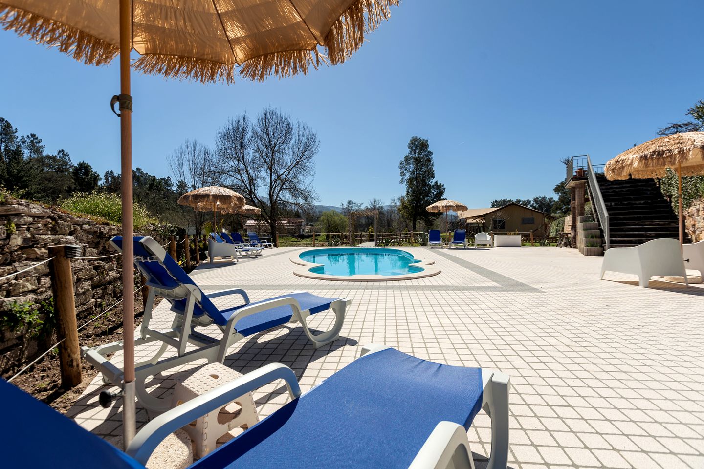 Family-Friendly Safari Tent: Pet-Loving Nature Connection in Coimbra, Portugal