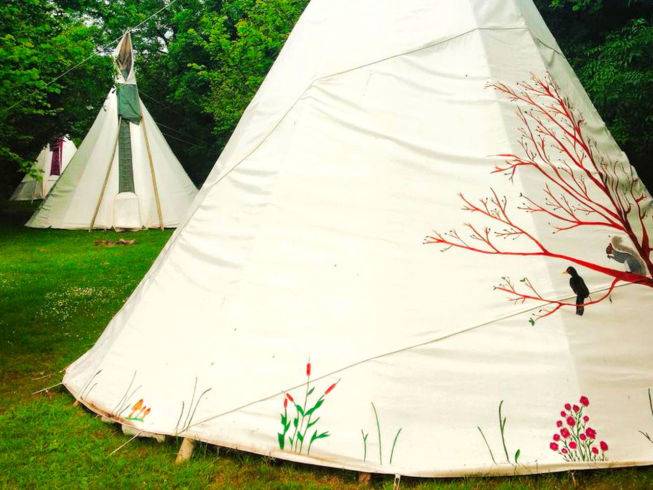 Family-Friendly Tipi Rental in a Private Clearing for a Unique Holiday in Cornwall, England