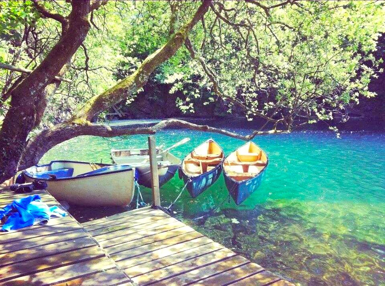 Family-Friendly Tipi Rental in a Private Clearing for a Unique Holiday in Cornwall, England