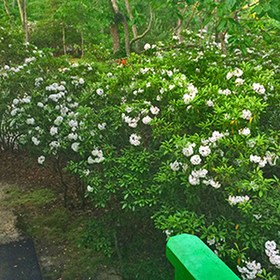 Glamping Tree House near Sea Isle City Beach, New Jersey