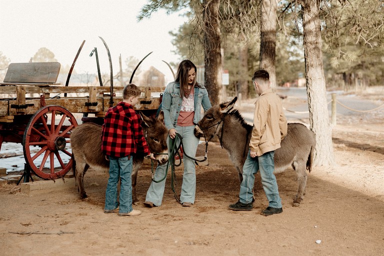 Cabins (United States of America, Torreon, New Mexico)