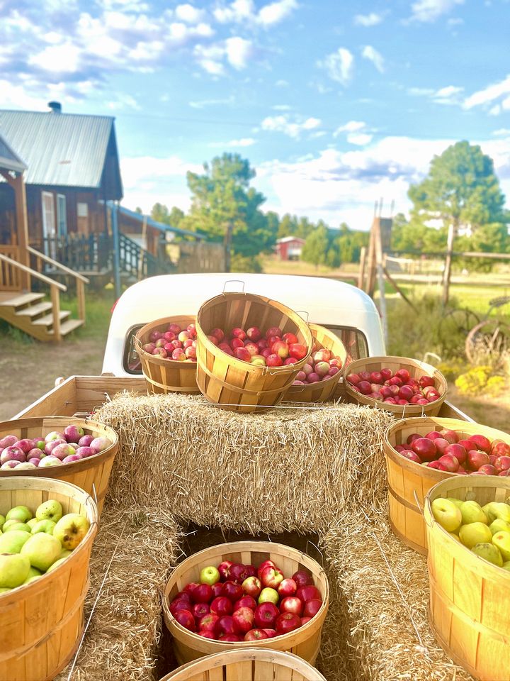 Scenic Family Glamping Retreat with Orchard & Mountain Views near Mountainair in Torreon, New Mexico