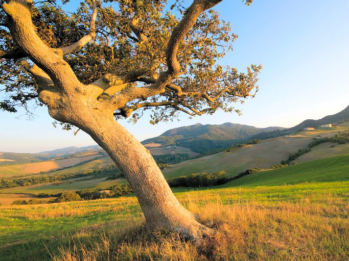 Nature Lodges (Pomarance, Tuscany, Italy)