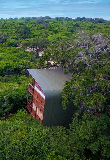 Luxury Treehouse Cabin Retreat Surrounded by Green Forest near Kirinda, Sri Lanka | Cabins (Palatupana, Southern Province, Sri Lanka)