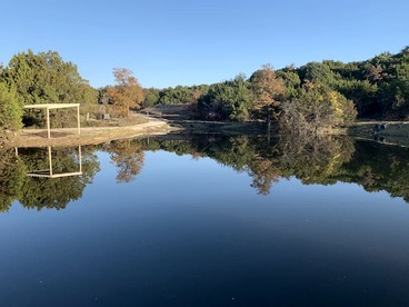 Family Style Glamping in Pet-Friendly Rental at Lake Godstone, Texas photo 3