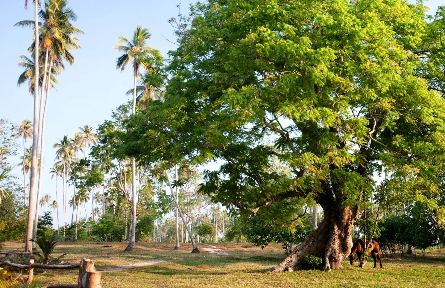 Family-Friendly Villa with Separate Wings in Luganville on Islands of Vanuatu