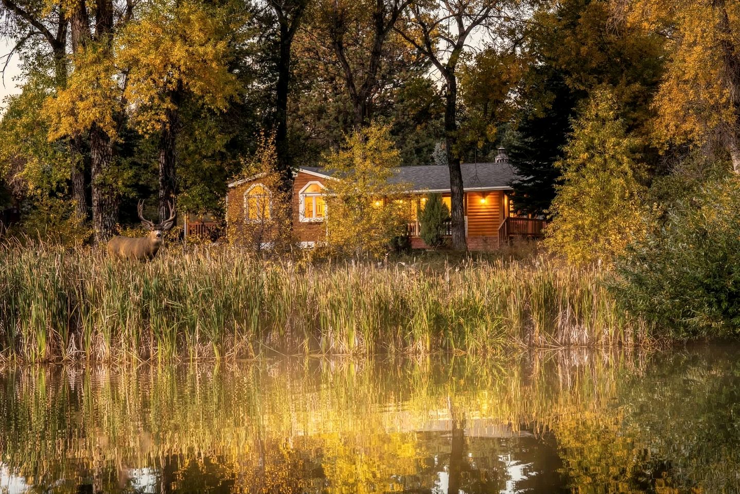 Spacious Retreat with Stone Fireplace & Pond Views in Banner, Wyoming