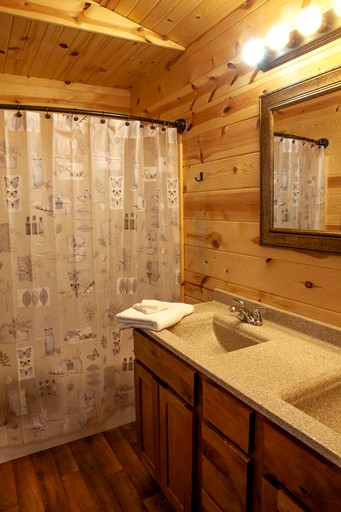 Cabins (United States of America, Herod, Illinois)