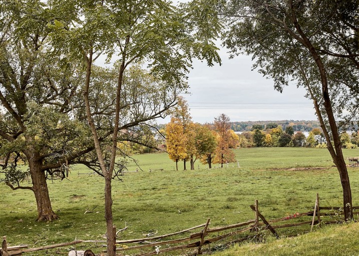 Cottages (Canada, Prince Edward County, Ontario)