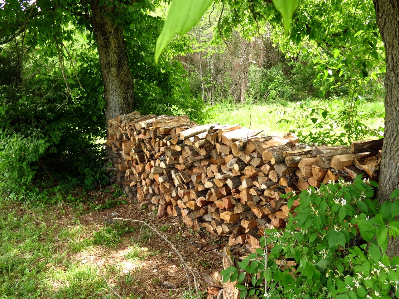 Fantastic Cozy Cabin with Fire Pit, Hot-tub and Fireplace in Herod, Illinois