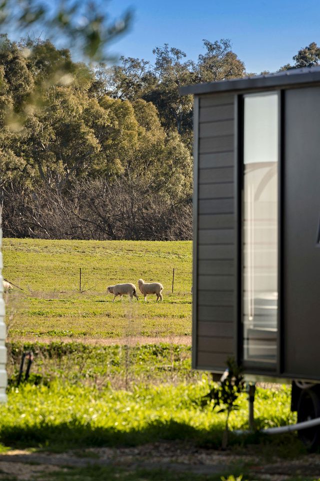 Starry Night Farmstay in Forbes, New South Wales
