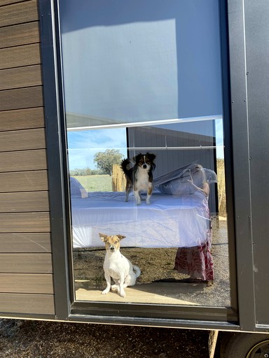 Tiny Houses (Australia, Forbes, New South Wales)
