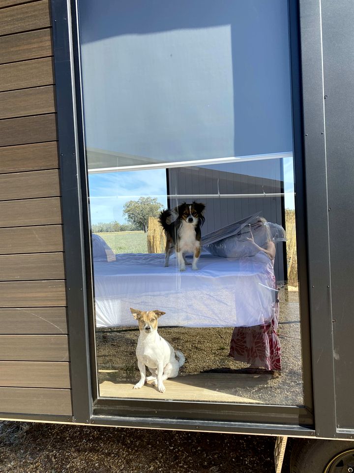 Starry Night Farmstay in Forbes, New South Wales