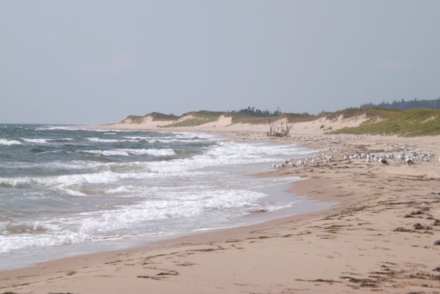 Fantastic Prince Edward Island Yurt Rental near Beautiful Basin Head Provincial Park