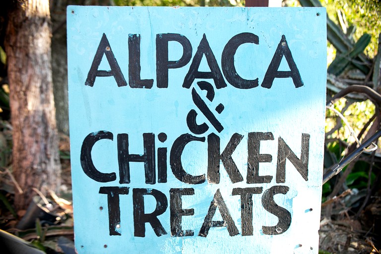 Cottages (United States of America, Fallbrook, California)