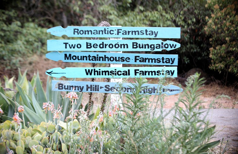 Cottages (United States of America, Fallbrook, California)