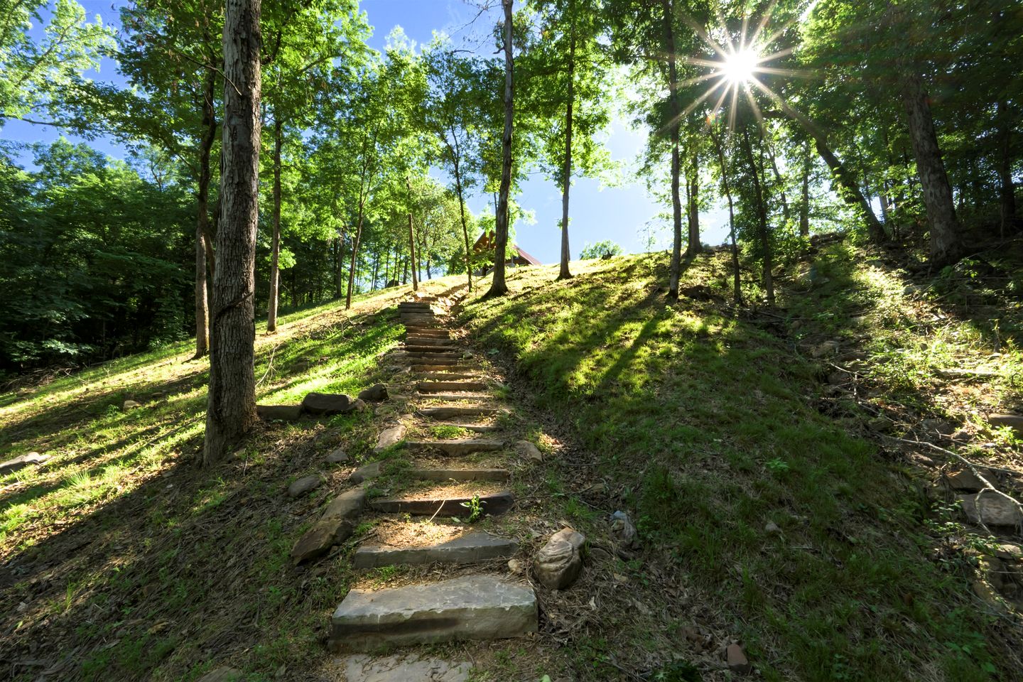 Fantastic Secluded Wooden Cabin with All Commodities in Nashoba, Oklahoma