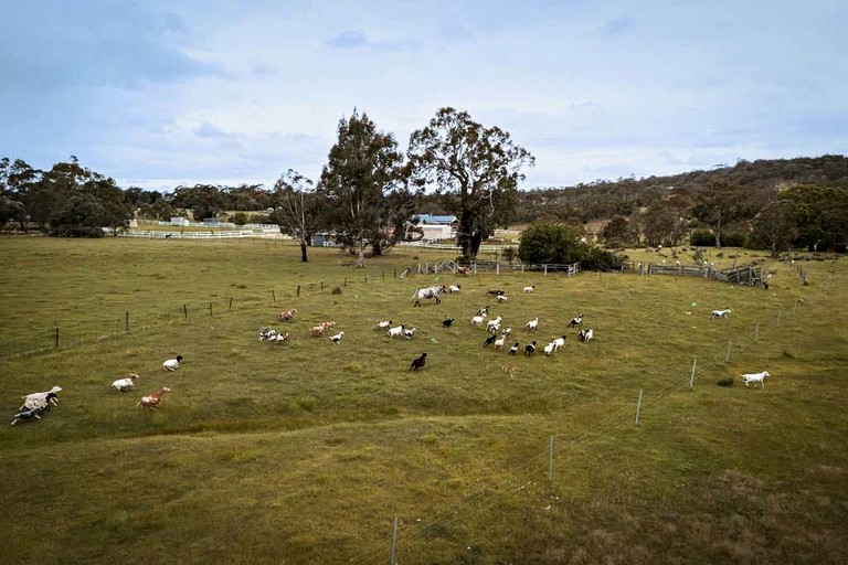 Tiny Houses (Australia, Taradale, Victoria)