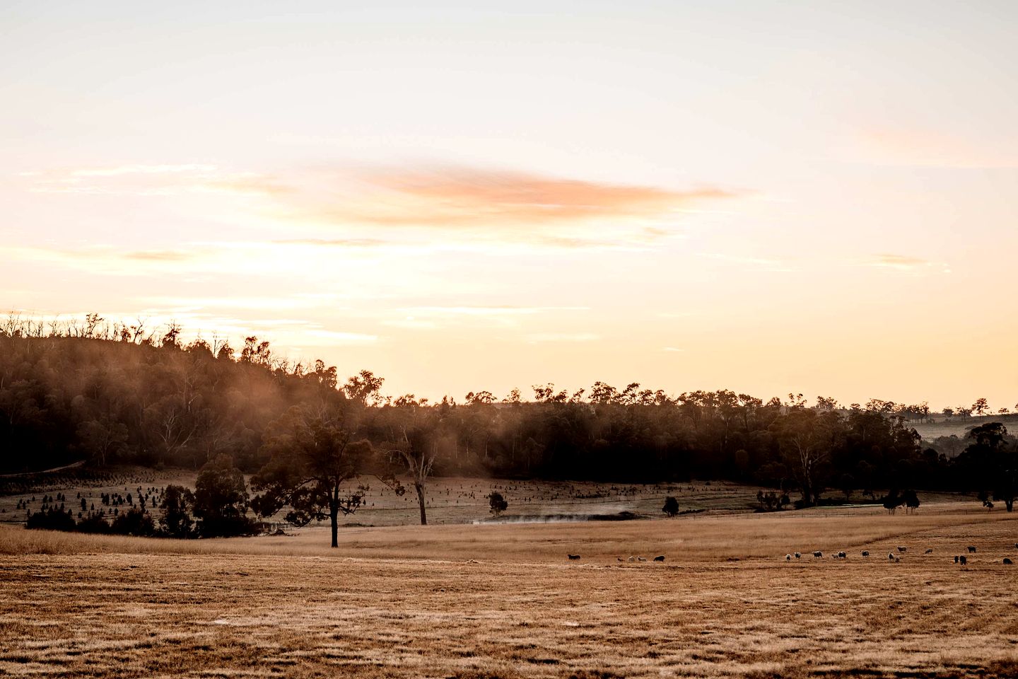Fantastic Tiny House with Breathtaking Farmlands and Wine Tours in New South Wales, Australia