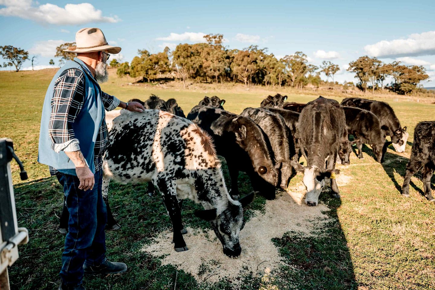 Fantastic Tiny House with Breathtaking Farmlands and Wine Tours in New South Wales, Australia