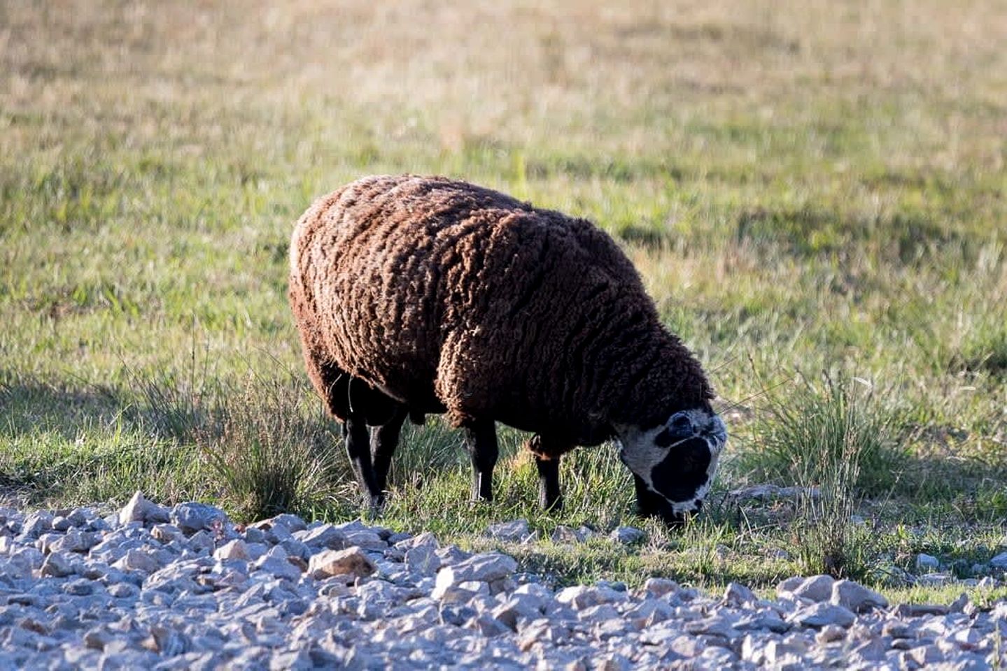 Fantastic Tiny House with Breathtaking Farmlands and Wine Tours in New South Wales, Australia