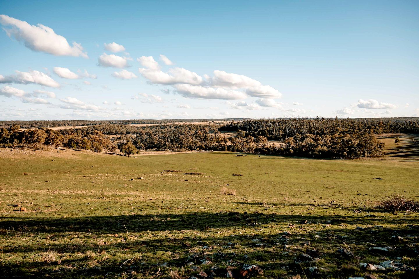 Fantastic Tiny House with Breathtaking Farmlands and Wine Tours in New South Wales, Australia