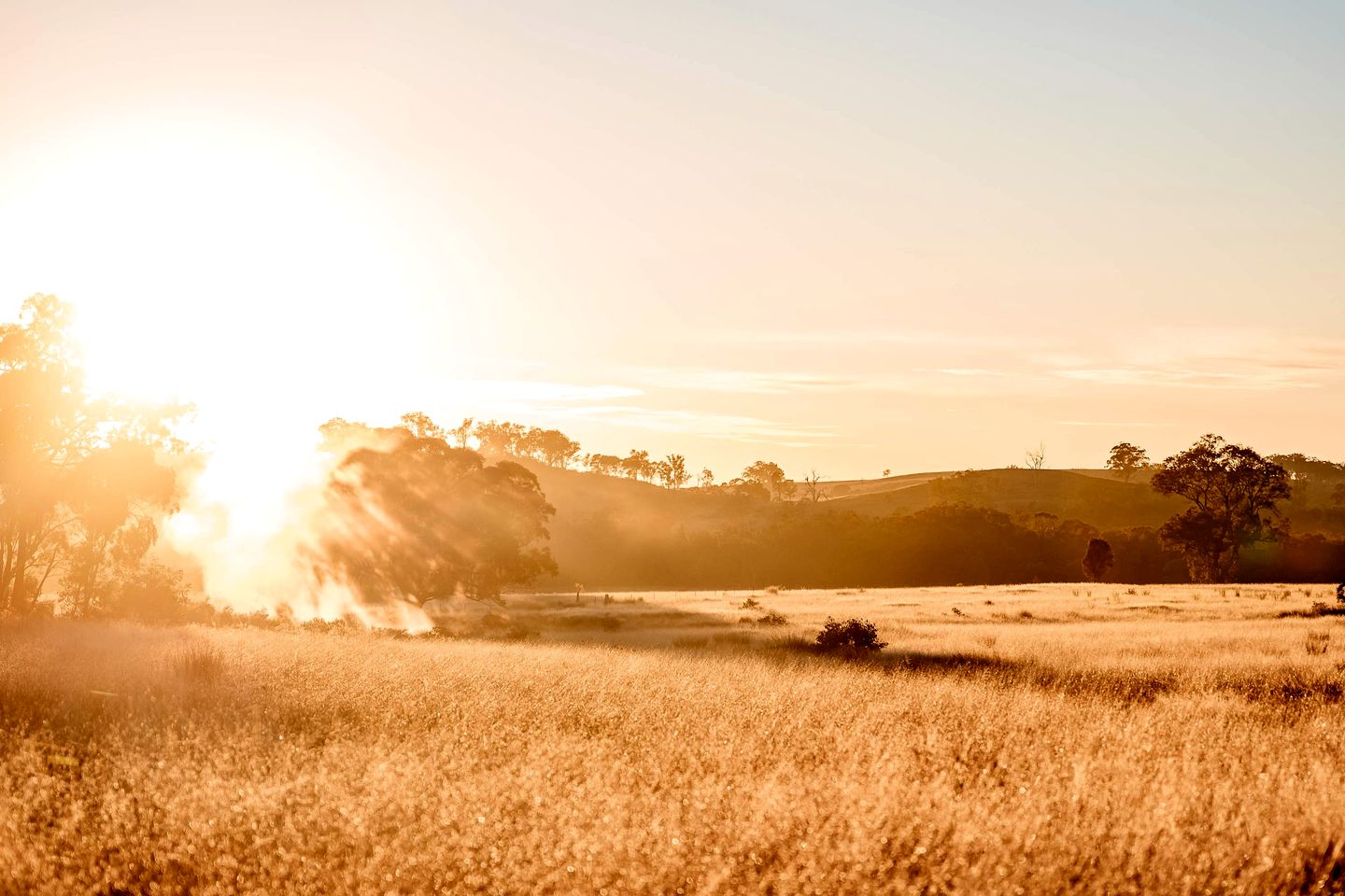 Fantastic Tiny House with Breathtaking Farmlands and Wine Tours in New South Wales, Australia