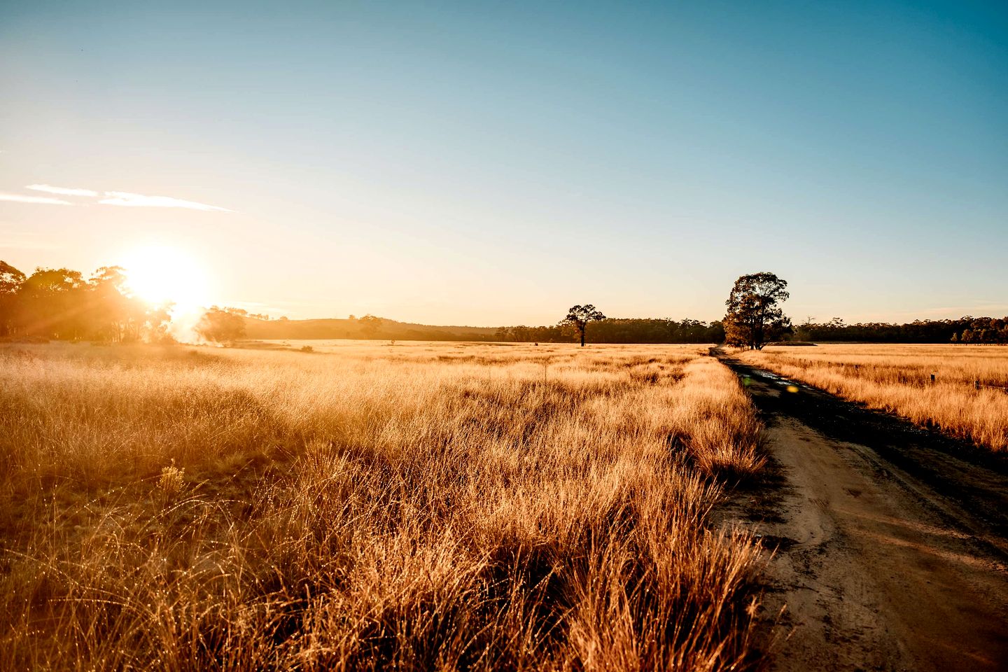Fantastic Tiny House with Breathtaking Farmlands and Wine Tours in New South Wales, Australia