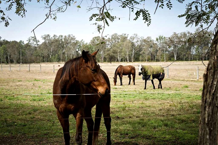 Tiny Houses (Australia, Glen Cairn, Queensland)
