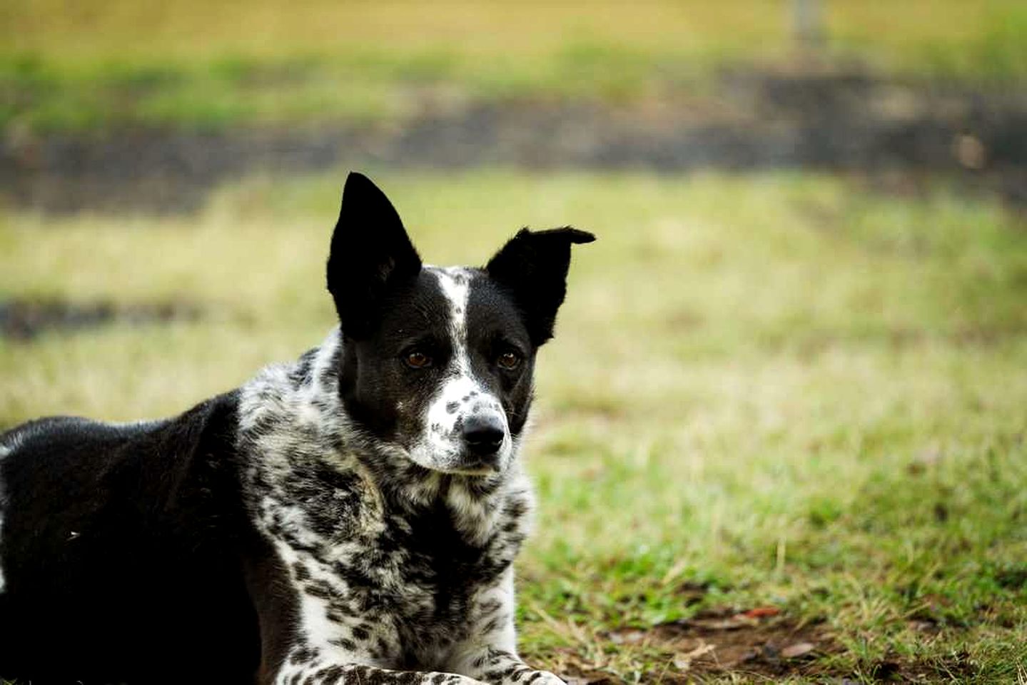 Fantastic Tiny House with Nice Sights in Glen Caim, Queensland
