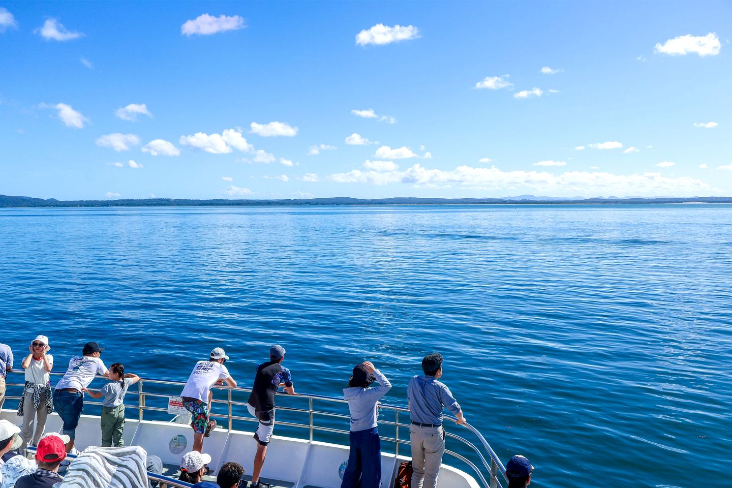 Fantastic Tiny House Retreat with Vineyards Views in Anna Bay, New South Wales