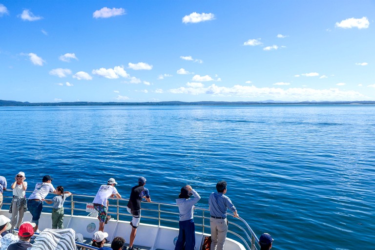 Tiny Houses (Australia, Anna Bay, New South Wales)
