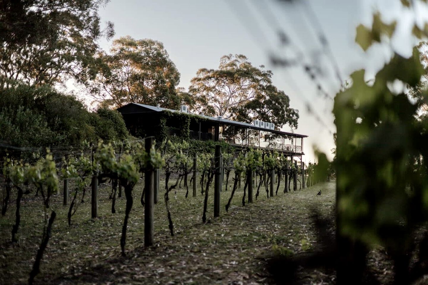 Fantastic Tiny House Retreat with Vineyards Views in Anna Bay, New South Wales