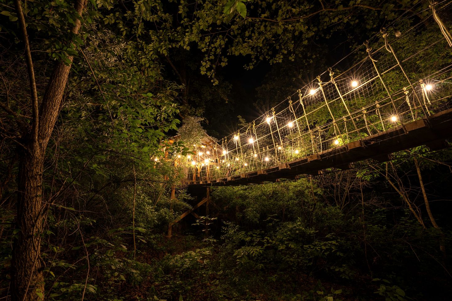 Fantastic Treehouse with Fire Pit and Hot-tub in Herod, Illinois