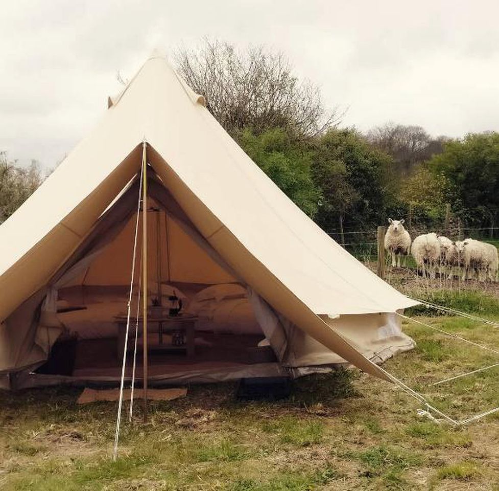 Large Bell Tents with Wood-Burning Stove in Peaceful Woodlands near Bath, England